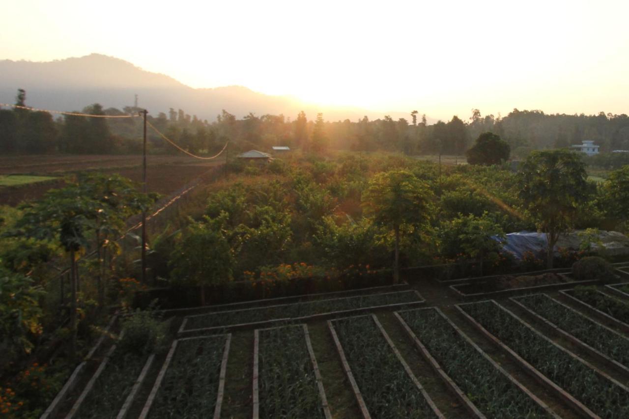 Forest Side Farm - Homestay At Kotabagh Near Nainital And Jim Corbett Exterior photo